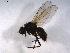  ( - 07PROBE-JW0392)  @12 [ ] CreativeCommons - Attribution (2010) Unspecified Centre for Biodiversity Genomics