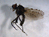  ( - 07PROBE-JW0401)  @12 [ ] CreativeCommons - Attribution (2010) Unspecified Centre for Biodiversity Genomics