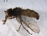  ( - 07PROBE-JW0488)  @12 [ ] CreativeCommons - Attribution (2010) Unspecified Centre for Biodiversity Genomics