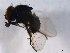  ( - 07PROBE-JW0551)  @12 [ ] CreativeCommons - Attribution (2010) Unspecified Centre for Biodiversity Genomics