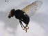  ( - 07PROBE-JW0552)  @12 [ ] CreativeCommons - Attribution (2010) Unspecified Centre for Biodiversity Genomics