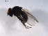  ( - 07PROBE-JW0553)  @12 [ ] CreativeCommons - Attribution (2010) Unspecified Centre for Biodiversity Genomics