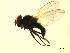  ( - 07PROBE-JW0572)  @12 [ ] CreativeCommons - Attribution (2010) Unspecified Centre for Biodiversity Genomics