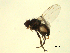  ( - 07PROBE-JW0585)  @12 [ ] CreativeCommons - Attribution (2010) Unspecified Centre for Biodiversity Genomics