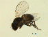 ( - 07PROBE-JW0586)  @12 [ ] CreativeCommons - Attribution (2010) Unspecified Centre for Biodiversity Genomics