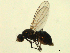  ( - 07PROBE-JW0591)  @12 [ ] CreativeCommons - Attribution (2010) Unspecified Centre for Biodiversity Genomics