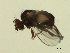  ( - 07PROBE-JW0598)  @12 [ ] CreativeCommons - Attribution (2010) Unspecified Centre for Biodiversity Genomics