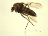  ( - 07PROBE-JW0634)  @13 [ ] CreativeCommons - Attribution (2010) Unspecified Centre for Biodiversity Genomics