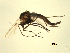  ( - 07PROBE-JW0645)  @12 [ ] CreativeCommons - Attribution (2010) Unspecified Centre for Biodiversity Genomics