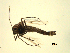  ( - 07PROBE-JW0646)  @12 [ ] CreativeCommons - Attribution (2010) Unspecified Centre for Biodiversity Genomics