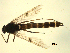  ( - 07PROBE-JW0647)  @13 [ ] CreativeCommons - Attribution (2010) Unspecified Centre for Biodiversity Genomics