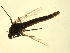  ( - 07PROBE-JW0650)  @12 [ ] CreativeCommons - Attribution (2010) Unspecified Centre for Biodiversity Genomics
