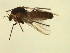  ( - 07PROBE-JW0656)  @13 [ ] CreativeCommons - Attribution (2010) Unspecified Centre for Biodiversity Genomics