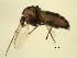  ( - 07PROBE-JW0659)  @13 [ ] CreativeCommons - Attribution (2010) Unspecified Centre for Biodiversity Genomics