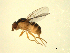  ( - 07PROBE-JW0672)  @13 [ ] CreativeCommons - Attribution (2010) Unspecified Centre for Biodiversity Genomics