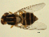  ( - 07PROBE-JW0678)  @12 [ ] CreativeCommons - Attribution (2010) Unspecified Centre for Biodiversity Genomics
