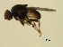  ( - 07PROBE-JW0694)  @12 [ ] CreativeCommons - Attribution (2010) Unspecified Centre for Biodiversity Genomics