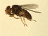 ( - 07PROBE-JW0696)  @13 [ ] CreativeCommons - Attribution (2010) Unspecified Centre for Biodiversity Genomics
