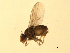  ( - 07PROBE-JW0703)  @13 [ ] CreativeCommons - Attribution (2010) Unspecified Centre for Biodiversity Genomics