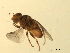  ( - 07PROBE-JW0705)  @13 [ ] CreativeCommons - Attribution (2010) Unspecified Centre for Biodiversity Genomics