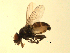  ( - 07PROBE-JW0710)  @13 [ ] CreativeCommons - Attribution (2010) Unspecified Centre for Biodiversity Genomics