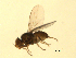  ( - 07PROBE-JW0715)  @13 [ ] CreativeCommons - Attribution (2010) Unspecified Centre for Biodiversity Genomics