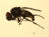  ( - 07PROBE-JW0718)  @13 [ ] CreativeCommons - Attribution (2010) Unspecified Centre for Biodiversity Genomics
