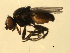  ( - 07PROBE-JW0733)  @13 [ ] CreativeCommons - Attribution (2010) Unspecified Centre for Biodiversity Genomics