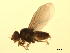  ( - 07PROBE-JW0745)  @13 [ ] CreativeCommons - Attribution (2010) Unspecified Centre for Biodiversity Genomics