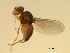  ( - 07PROBE-JW0751)  @13 [ ] CreativeCommons - Attribution (2010) Unspecified Centre for Biodiversity Genomics