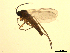  ( - 07PROBE-JW0819)  @12 [ ] CreativeCommons - Attribution (2010) Unspecified Centre for Biodiversity Genomics