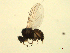  ( - 07PROBE-JW0869)  @12 [ ] CreativeCommons - Attribution (2010) Unspecified Centre for Biodiversity Genomics