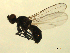  ( - 07PROBE-JW0924)  @12 [ ] CreativeCommons - Attribution (2010) Unspecified Centre for Biodiversity Genomics