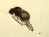  ( - 07PROBE-JW0927)  @12 [ ] CreativeCommons - Attribution (2010) Unspecified Centre for Biodiversity Genomics