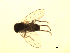  ( - 07PROBE-JW0928)  @12 [ ] CreativeCommons - Attribution (2010) Unspecified Centre for Biodiversity Genomics