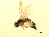  ( - 07PROBE-JW0931)  @12 [ ] CreativeCommons - Attribution (2010) Unspecified Centre for Biodiversity Genomics