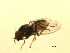  ( - 07PROBE-JW0932)  @13 [ ] CreativeCommons - Attribution (2010) Unspecified Centre for Biodiversity Genomics
