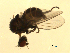  ( - 07PROBE-JW0934)  @12 [ ] CreativeCommons - Attribution (2010) Unspecified Centre for Biodiversity Genomics