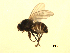  ( - 07PROBE-JW0935)  @12 [ ] CreativeCommons - Attribution (2010) Unspecified Centre for Biodiversity Genomics