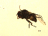  ( - 07PROBE-JW0936)  @12 [ ] CreativeCommons - Attribution (2010) Unspecified Centre for Biodiversity Genomics