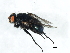  ( - 07PROBE-JW0536)  @13 [ ] CreativeCommons - Attribution (2010) Unspecified Centre for Biodiversity Genomics