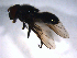  ( - 07PROBE-JW0974)  @12 [ ] CreativeCommons - Attribution (2010) Unspecified Centre for Biodiversity Genomics