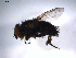  ( - 07PROBE-JW1003)  @12 [ ] CreativeCommons - Attribution (2010) Unspecified Centre for Biodiversity Genomics