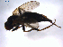  ( - 07PROBE-JW1015)  @12 [ ] CreativeCommons - Attribution (2010) Unspecified Centre for Biodiversity Genomics