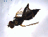  ( - 07PROBE-JW1016)  @12 [ ] CreativeCommons - Attribution (2010) Unspecified Centre for Biodiversity Genomics