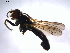  ( - 07PROBE-JW1018)  @12 [ ] CreativeCommons - Attribution (2010) Unspecified Centre for Biodiversity Genomics