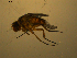  ( - 07PROBE-JW1055)  @12 [ ] CreativeCommons - Attribution (2010) Unspecified Centre for Biodiversity Genomics
