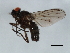  ( - 07PROBE-JW1091)  @12 [ ] CreativeCommons - Attribution (2010) Unspecified Centre for Biodiversity Genomics