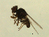  ( - 07PROBE-JW1145)  @12 [ ] CreativeCommons - Attribution (2010) Unspecified Centre for Biodiversity Genomics