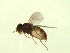  ( - 07PROBE-JW1157)  @13 [ ] CreativeCommons - Attribution (2010) Unspecified Centre for Biodiversity Genomics